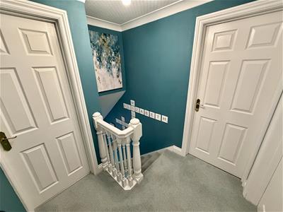 Picture 20